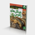 جنگل های زاگرس